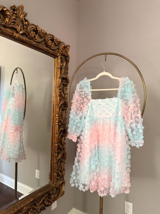 Storia Dresses & Skirts - Storia Pink & Blue Floral Appliqué Mini Dress